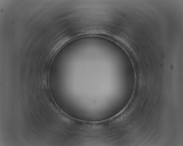 X0000062641273200601111116