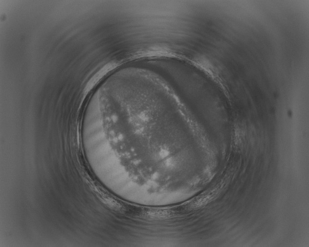 X0000062641274200601111116