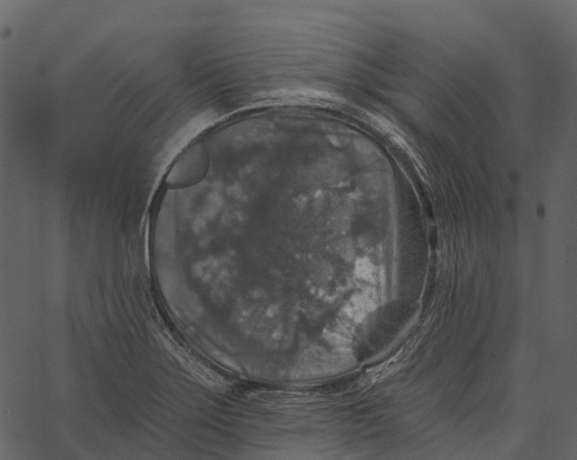 X0000062641275200601111116