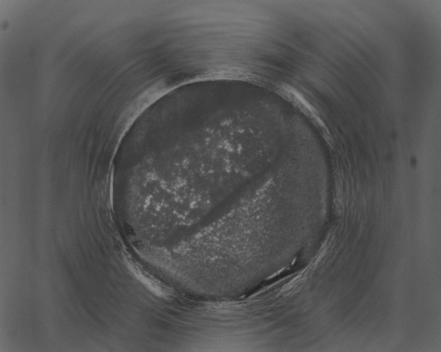 X0000062641276200601111116