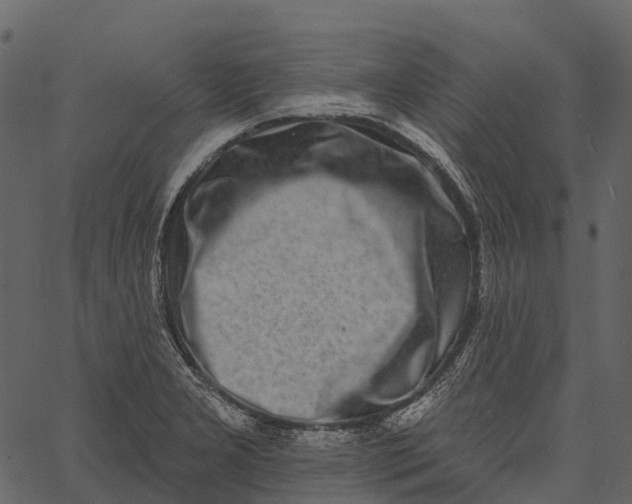 X0000062641277200601111116