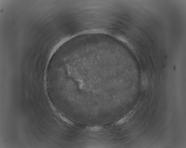 X0000062641278200601111116