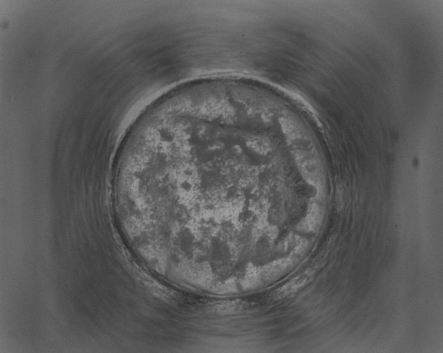 X0000062641279200601111116