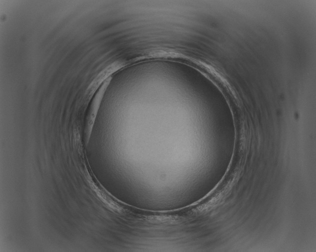 X0000062641281200601111116