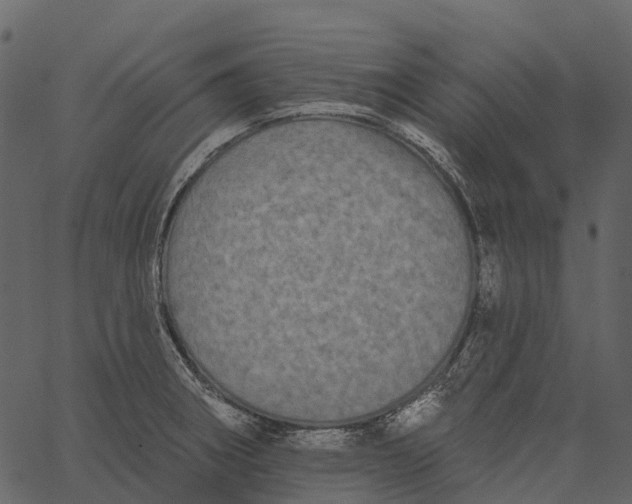 X0000062641282200601111116