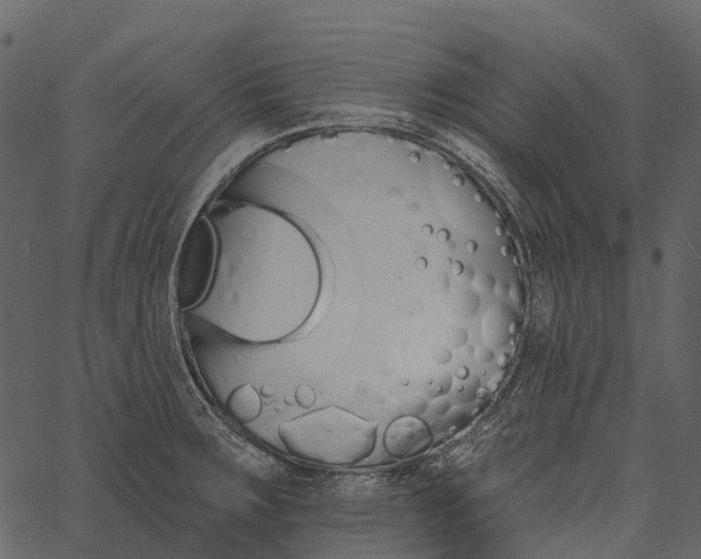 X0000062641283200601111116