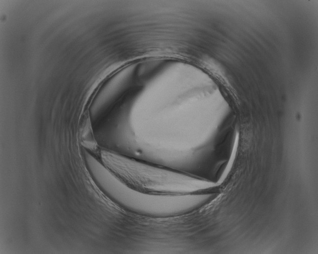 X0000062641284200601111116