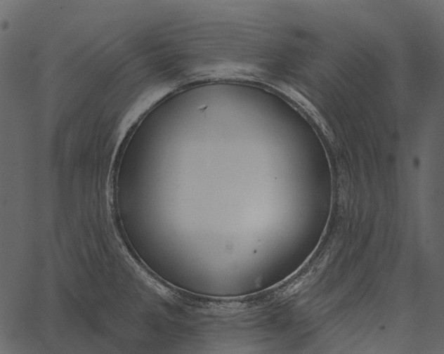 X0000062641285200601111116