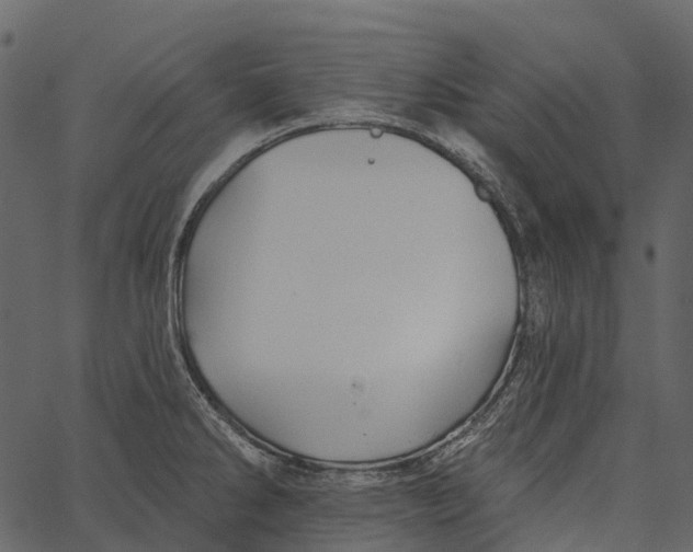 X0000062641286200601111116