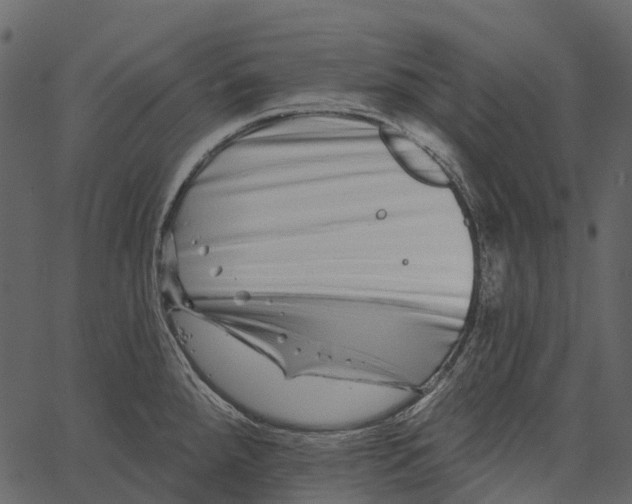 X0000062641288200601111116