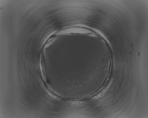 X0000062641289200601111116