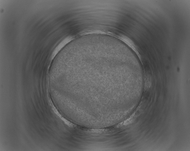 X0000062641290200601111116