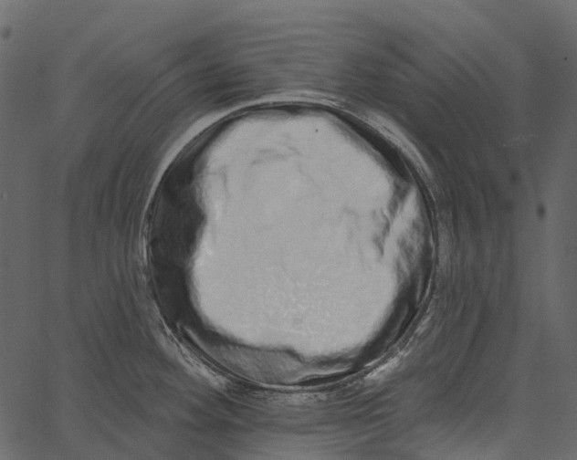 X0000062641292200601111116