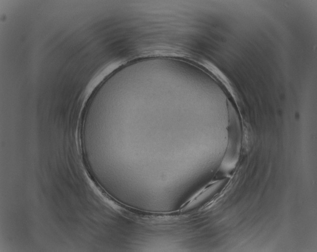 X0000062641293200601111116