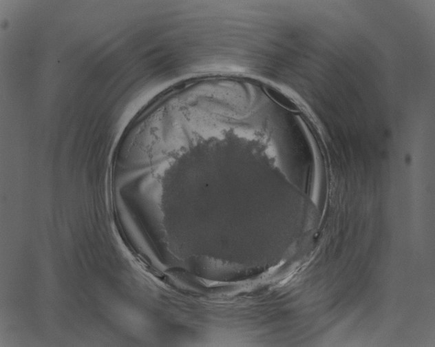 X0000062641295200601111116