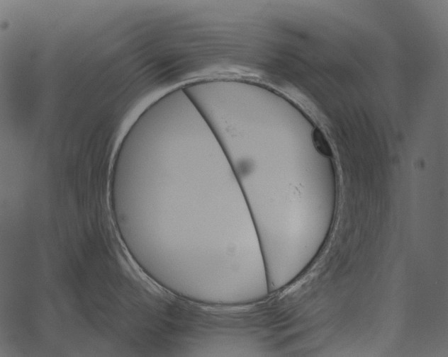 X0000062641296200601111116