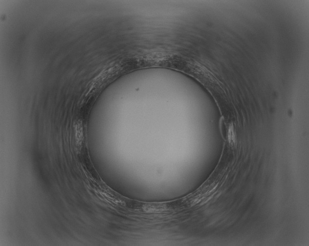 X0000062641299200601111115