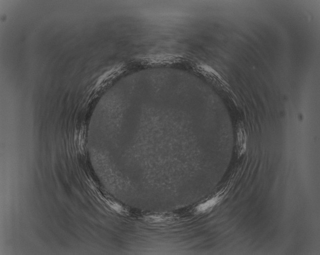 X0000062641300200601111115