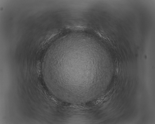 X0000062641301200601111115