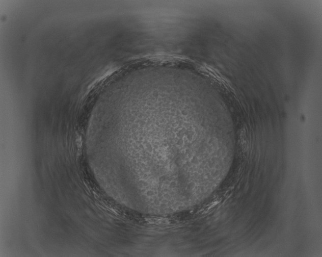 X0000062641302200601111115