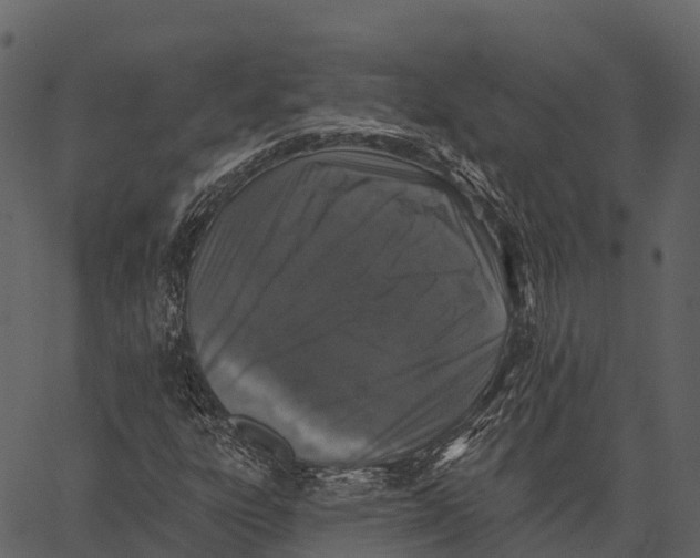 X0000062641303200601111115