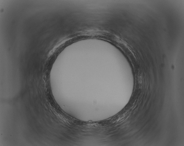 X0000062641304200601111115