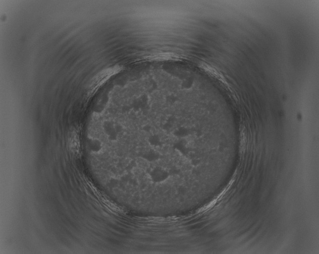 X0000062641305200601111115