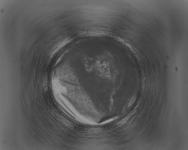 X0000062641306200601111115