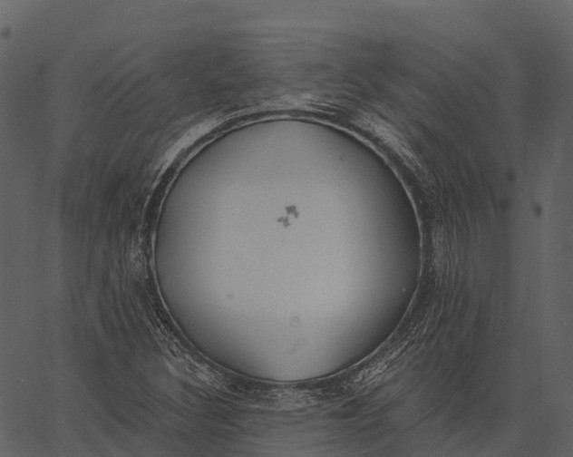 X0000062641308200601111115