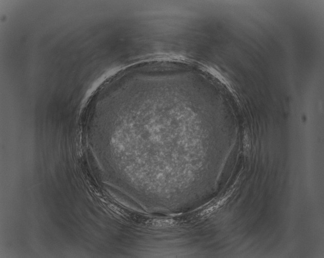 X0000062641310200601111115