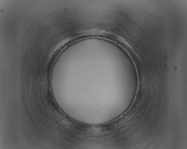 X0000062641315200601111115