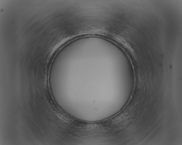 X0000062641316200601111115