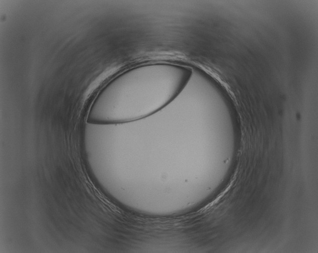 X0000062641317200601111115