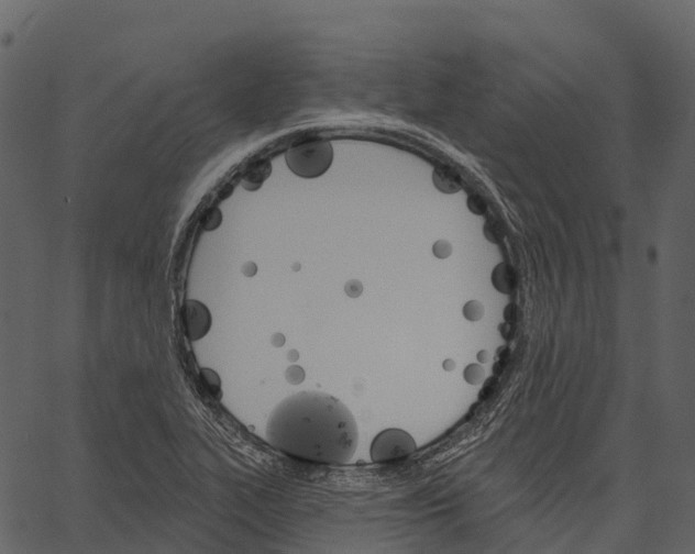 X0000062641319200601111115