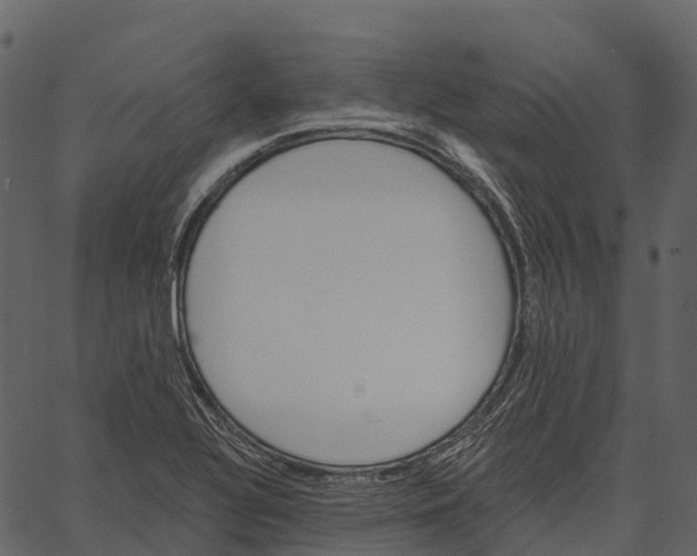 X0000062641320200601111115