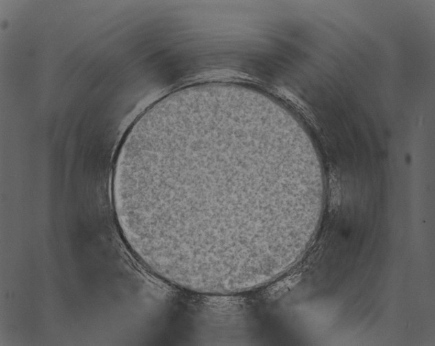 X0000062641322200601111116