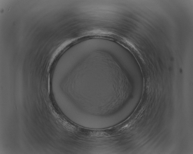 X0000062641323200601111116