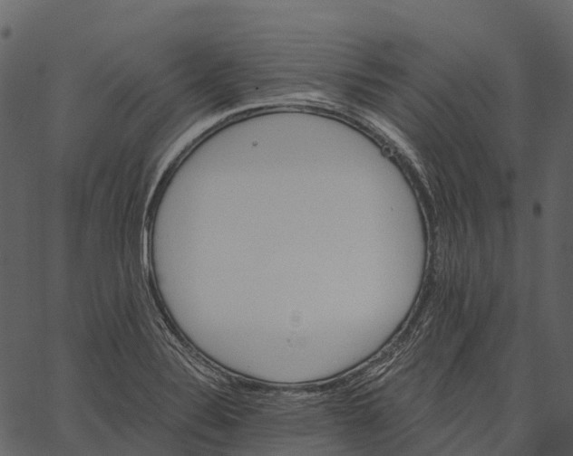 X0000062641324200601111116