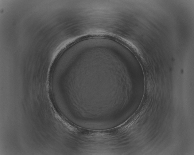 X0000062641327200601111116