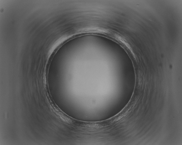 X0000062641328200601111116