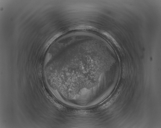 X0000062641329200601111116