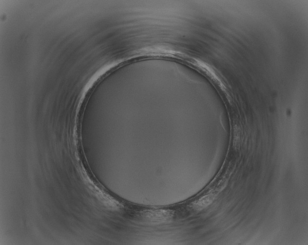 X0000062641331200601111116