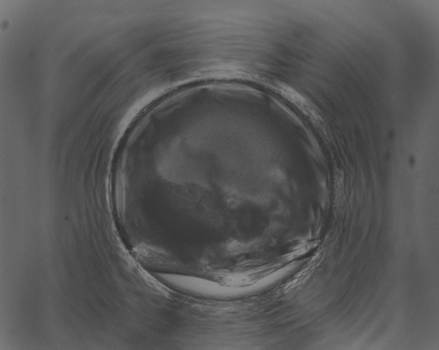 X0000062641334200601111116