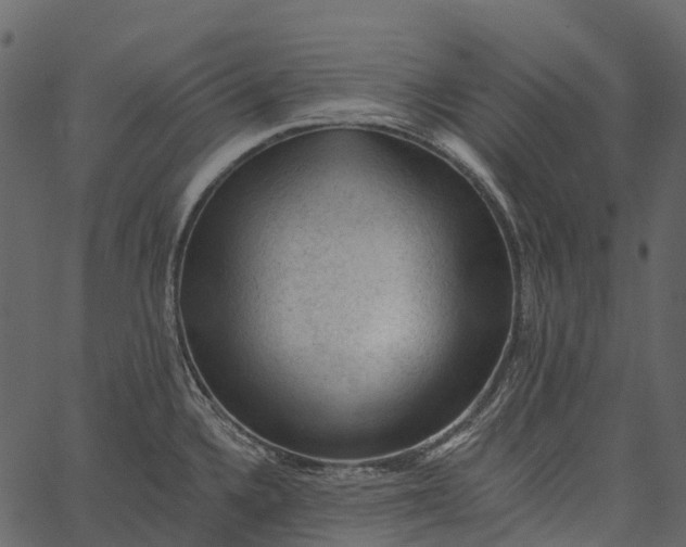 X0000062641336200601111116