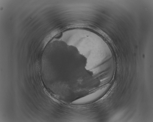 X0000062641337200601111116