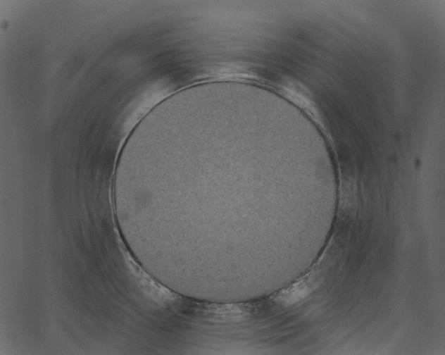 X0000062641338200601111116