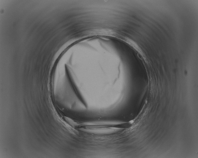 X0000062641339200601111116