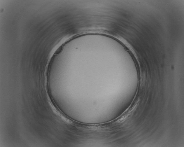 X0000062641341200601111116