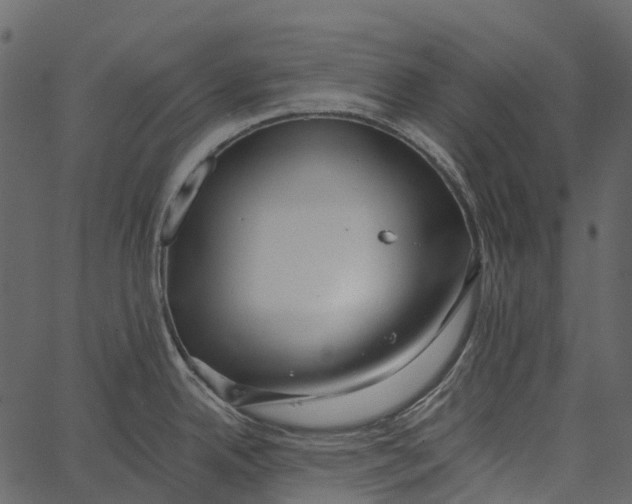 X0000062641342200601111116