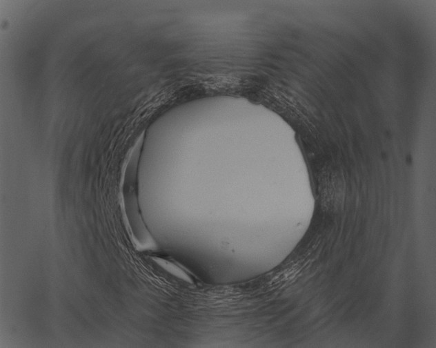 X0000062641345200601111115